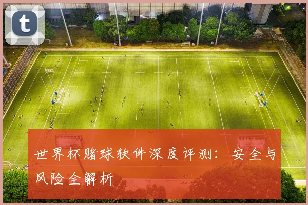 世界杯赌球软件深度评测：安全与风险全解析